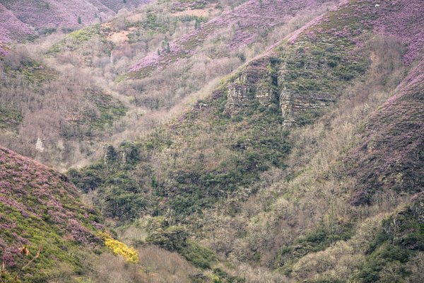 What are the effective methods for UK families to plan for property succession?